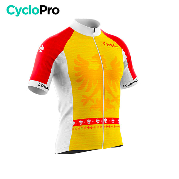 maillot cyclisme lorraine 2